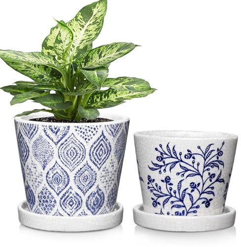 Oairse 2 stycken blomkrukor keramiska krukor runda suckulentkrukor med dräneringshål och underlägg liten keramisk växtkruka för suckulenter kaktus inomhus utomhus trädgård hem fönsterbräda