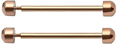 1 paio di perni a vite per cinturino per orologio Smart Watch fibbia fibbia tubo attrito accessori di ricambio strumento di riparazione 16 mm, 18 mm, 20 mm, 22 mm