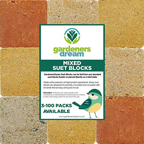 GardenersDream Suet Fat Blocks | Premium Garden Wild Bird Food | Enhanced Formula | Naturally Blended, High in Energy & Protein-Rich Feed | Full of Nutritious Fibre & Moisture (Worm & Insect, 10)