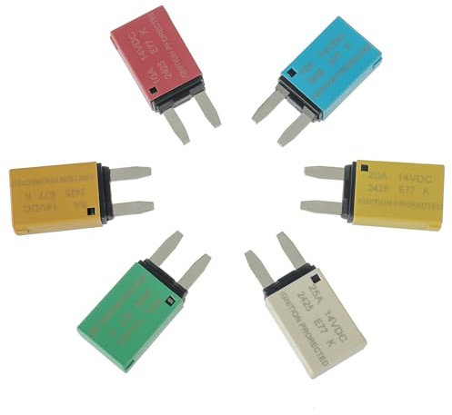 HUAREW 12V ATM Sicherungsautomat Auto Reset Schutzschalter | T1 Mini Sicherung Leistungsschalter Circuit Breakers 5A 10A 15A 20A 25A 30A (Mischen 6 Stück)