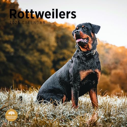 Bright Day Monats-Wandkalender 2025, Rottweiler, 30,5 x 30,5 cm, niedliches Geschenk für Hunderassen