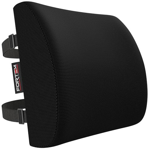 FORTEM Lumbar Support Cushion, Back Support For Office Chair and Car Seat, Back Rest for Gaming Chair, Memory Foam Pillow, Desk Chair Cushion, Breathable & Washable Cover, Adjustable Straps