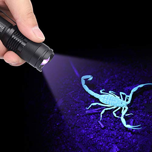 Taschenlampen, Violette Taschenlampe, 395/365 Nm Schwarzlicht-Taschenlampe, Tragbarer -Lichtdetektor für Unsichtbare Tintenstifte, Hunde, Katzen, Haustiere, Urinflecken, Mini-Geraderöhre für
