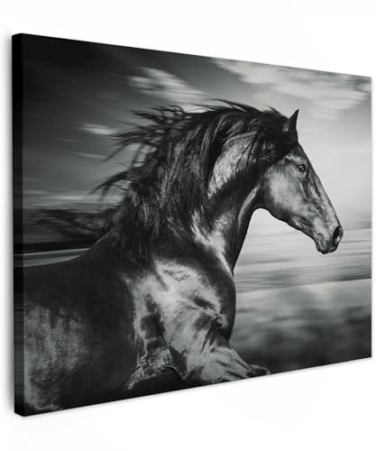 MuchoWow© Leinwandbild Dekoration Wohnzimmer Bilder Aufhängen Wall | 70x50 cm - Decoration Living Room Wohnungs Deko Moderne Schwarzweiss - Weiss - Pferd - Tiere - Bild Schwarz und Weiß