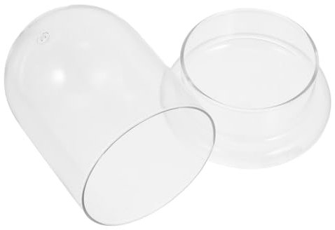 Garneck Moosglasflasche Für Landschaften DIY Pflanzenflasche Für Sukkulenten Und Terrarien Dekoratives Glasgefäß Mit Öffnung x Für Schreibtisch Und Deko