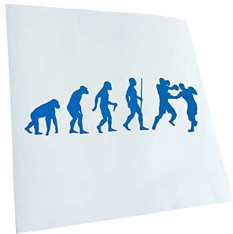 Kiwistar - Autocollant - Boxes Knockout Evolution - bleu - G24 - Pour voitures, vélos, véhicules, motos, cyclomoteurs, tuning, vitres arrière