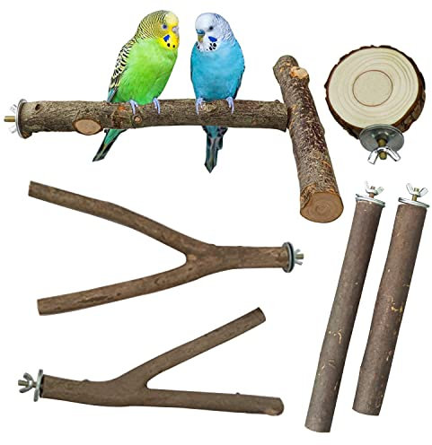 NA Allazone Sitzstange aus natürlichem Holz, T-Form, Sitzstange für Papageien, Nymphensittiche, 6 Stück