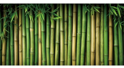 MIRRORANG 180x61cm Bambus Grove Reptil Terrarium Aquarium Hintergrund Grün Bambus Fisch Tank Hintergrund Bartagame Vivarium Hintergrund Vinyl