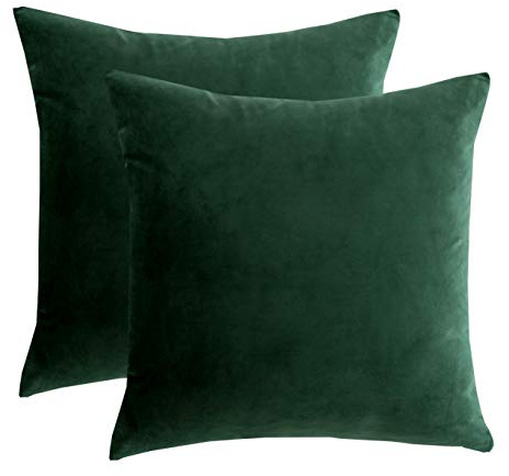 RainRoad Velvet Decorative Throw Pillow Covers Cushion Cover Pillow Case for Sofa Couch Bed Chair, Soft Square Dark Green Throw Pillows 18 x 18 Inches, Set of 2