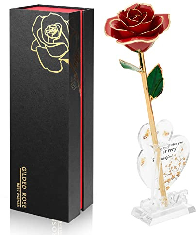 Anthonic Gold Dipped Infinity Rose Last Forever Flower Decor, Birthday Gift for Women in Her Birthday Valentines Day Mothers Day, Resin Preserved Rose | Anniversary Present for Mom (Red)