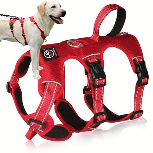 Lalazoo ELBA Sicherheitsgeschirr Hund ausbruchsicher – Verstellbares No-Pull Hundegeschirr gepolstert & reflektierend mit Griff & 6-Punkt-Verstellung – Robustes Anti-Ausbruch Geschirr – Rot, M
