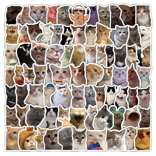 300Pcs Funny Cat Meme Stickers,Cute Cat Stickers,Waterproof Sticker for Laptop Water Bottle Scrapbook Notebooks Skateboard Guitar Phone Luggage Bicycle,Cats Sticker for Cats Lovers