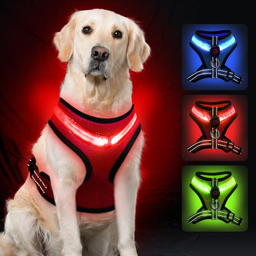 AUAUY Luminous Dog Harness, LED Rechargeable, Reflective, 3 Modes, Breathable, Light Harness with 1.5 m Lead, Adjustable Safety Vest for Night Walks, Red