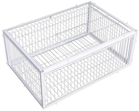 Rwigeboo duvfälla, fågelfälla med envägsåtkomst ingångar och takfönster, 40 x 30 x 25 x 25 cm metall duvbur för gårdar ladugårdar trädgårdar duvor avelsbur