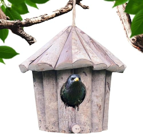 Haus Del - Dekoratives Holzhaus mit Dach,Gartendekoration | Zaunkönig Faust Fringuello Bluebird Outdoor Hof Winter