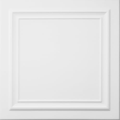 Deccart - Panneaux Muraux 50x50 cm Polystyrène XPS, Blanc, 20 pièce, 5 m²