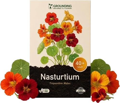 Grounding - Dwarf Whirley Bird Nasturtium Seeds (Tropaeolum majus), 40+ Seeds - Compact Multicolour Mix for Pots, Planters and Borders - Covers 2 m² - European Quality