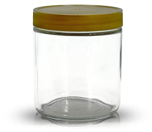 Apoidea – Honiggläser 500g mit Kunststoff-Deckel 24 Stück/Honiggläser 500g mit Deckel/Honigglas Neutralglas/Hochwertige Honig Gläser für Ihren eigenen Honig