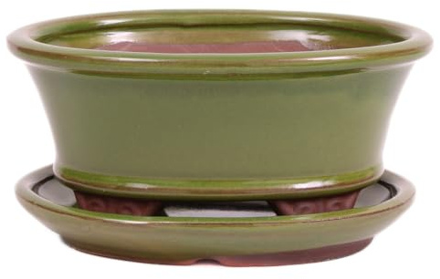 Bonsai-Shopping Bonsai - Schale oval 16 x 13 x 7.5 cm, grün, mit Untersetzer 23175