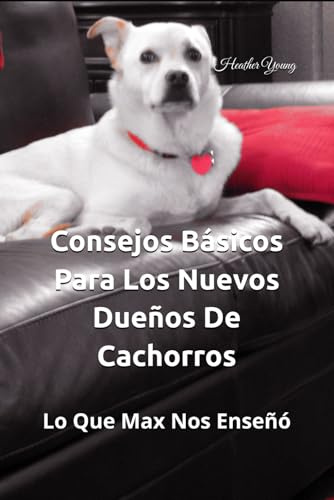 Consejos Básicos Para Los Nuevos Dueños De Cachorros: Lo Que Max Nos Enseñó