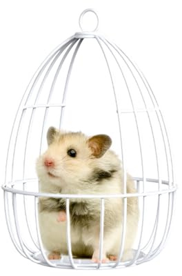Small Animal Hammock - Iron Gerbil Toys,Nest House Cage for Sleeping Swing Hiding Guinea Dwarf Rabbits Sugar Glider Squirrel Training Small Pets