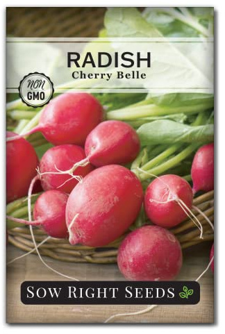 Sow Right Seeds - Cherry Belle Radish Seeds for Planting - Non-GMO Heirloom Packet with Instructions to Plant and Grow an Indoor or Outdoor Home Vegetable Garden - Crisp Red, Fast Growing (1)