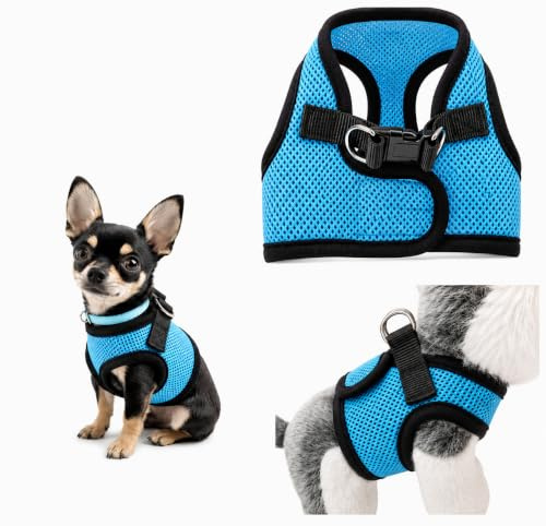 XXXS XXS XS Tiny Toy Teacup Chihuahua Puppy Dog Harness with Mesh Clip for TINY Teacup Miniature Breeds Kitten Yorkie Maltese Terrior Puppy Dogs (XXS - Chest 26-30cm, Blue/Black)