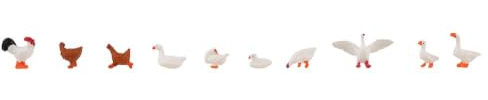 Hühner, Enten und Gänse