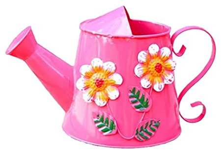 Tograt Arrosoir Bouteille Spray Arrosoir Arrosoir 3L Arrosoir Fleurs Rétro Métal Arrosoir Pulvérisation Pot Arrosoir Arrosoir Plante (Color : Pink)