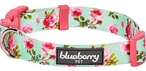 Blueberry Pet Floral Rose Print Turquoise Dog Collar - Adjustable Medium Dog Collars for Small Dogs & Puppies, Neck 14.5-20, Eco-Friendly, Pink Girl Collar,