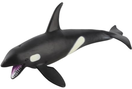 Killerwal Tiermodell 20cm Kunststoff, Realistische Meerestier Figur Lernspielzeug, Ozean Tier Sammelfigur für Zimmer Dekoration, Detailgetreue Wal Nachbildung für Bildungszwecke und Rollenspiel