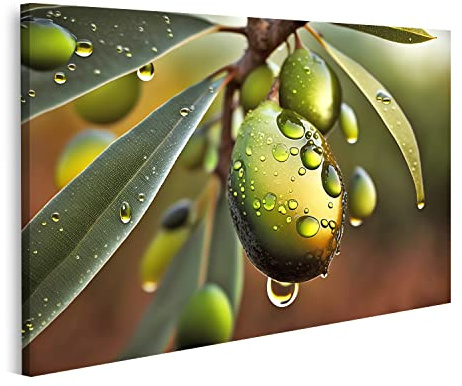 islandburner cuadro sobre lienzo olivo rama de olivo cerca de gotas de aceite verde imagen de cocina para cocina cuadros murales póster
