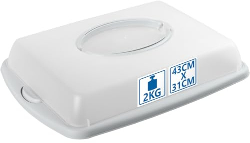 Stimo Kuchen Transportbox mit Tragegriff Deckel Kuchenbehälter Blechkuchen Container mit Klickverschluss (Hellgrau)