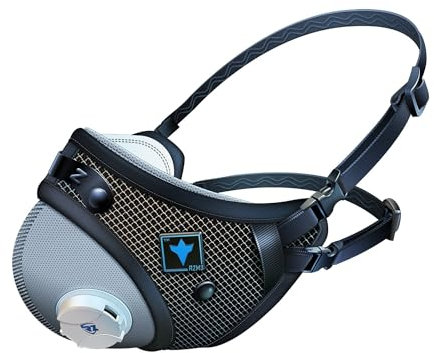 RZ Mask Atemschutzmaske FFP2 Anti-Smog Maske mit Aktivkohle - Waschbar und Wiederverwendbar – für Holzbearbeitung und Gartenarbeit - Etui und 1 Gratisfilter