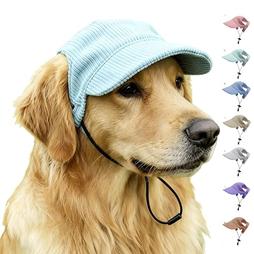 Chapeaux pour animaux de compagnie avec trous d'oreille - Bonnet multicolore pour chien et chat - Chapeau de soleil pour l'été et l'automne - Casquette de baseball pour chien et chapeau pour chien