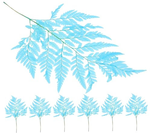 Ciieeo Natural Dried Plant Bouquet Everlasting Fern Leaf Arrangement for Wedding Home Commercial Decor