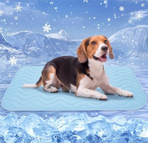 Yunova Kühlmatte Hund L (75x60cm), Selbstkühlend & Waschbar, Atmungsaktive Hunde Kühlpad ohne Gel, Faltbare Hundematte für Auto, Sofa & Outdoor, Himmelblau