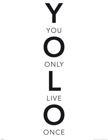 empireposter Motivational - YOLO - Worte Motivationsposter Plakat Druck - Grösse 60x80 cm + 2 St Posterleisten Holz 61 cm