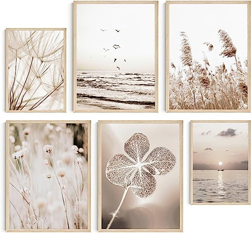 Hambient 13 Laminas Decorativas Pared para Cuadros Decoracion Salon Modernos, Dormitorios, Habitacion, Posters SIN Marco (Pampas Hierbas Beige, 4x 21x30 cm, 4x 13x18 cm, 5x 10x15 cm - Sin Marcos)