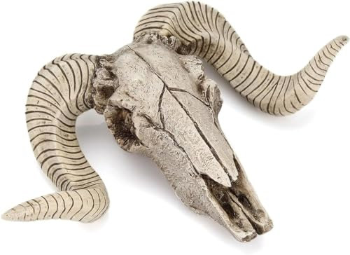 Gierer Skull Sheep Head Wall Sculpture Ram Skull with Horns Wall Faux Taxidermy Animal for Home Wall Hanging Decor Long Horn Sheep Head Skull Wall Hanging (White)