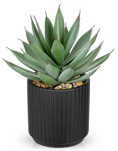 Hollyone Sukkulenten Pflanzen Künstliche Aloe Vera Pflanze, Faux Sukkulenten in Schwarz Keramiktopf, Getopfte Fake Aloe Pflanze für Home Office Badezimmer Tisch Schlafzimmer Regal Dekor 22cm