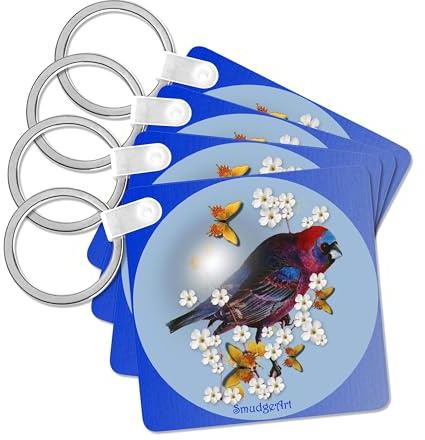 3dRose, Varied Bunting, set of 4 Key Chains