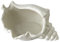 Cyrank Seashell Bowl Large Clam Shell Decor Shell Conch Shape Jewelry Tray Ocean Style, Clam Shell Bowl Beach Decorations Jewelry Dish Trinket Tray for Vanity Decor Decoration Storage Bowls