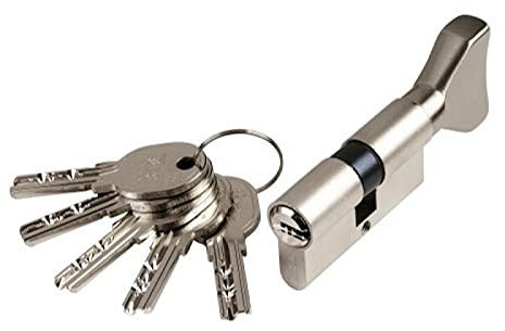 ISEO - Cylindre de sûreté à profil européen en laiton nickelé 30 x 40 mm avec bouton (coté 40 mm) 'R6'