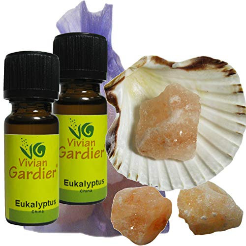 Eukalyptus Cineol ätherisches Öl naturrein 2 x 10ml aus kontrolliertem Anbau. 7 teiliges Aromatherapie Duft Set mit Muschel + 3 Salz Kristalle zum Beduften + Säckchen. 50016
