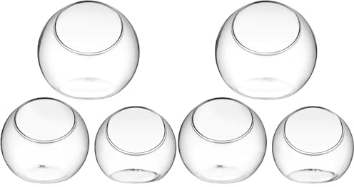 Happyyami Plant Holder 6 Pcs bubble glass clear plant pot succulent terrarium bowl s for er pot containers terrarium jars decorations juicy Port ball