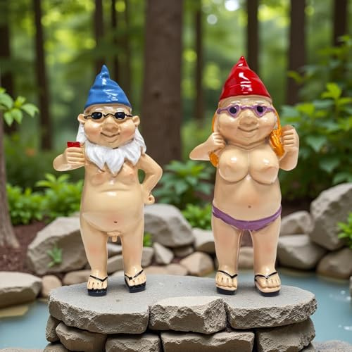 Naked Gnomes Garden Mens Gift for Her Mum Dad Boyfirned Adult Boyfriend Stocking Filler Christmas Birthday Retirement Novelty Present Prank Rude Funny Idea Friend Fathers Day Nan Secret Santa Office
