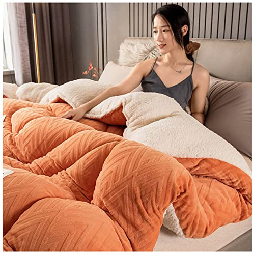 Winterdecke, dick, warm, Kaschmirdecke, schwere Lammwolle, Decke für Doppelbett, Fleece, Bettwäsche für Zuhause, Schlafzimmer, 200 x 230 cm (5 kg)