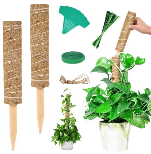 Vicloon Bastone per Piante, 2Pcs Piante Rampicanti Bastone, Stecche per Pianti 30cm, Palo Totem in Fibra di Cocco, Tutore per Pianti, Muschio Totem per Rampicante Estensione