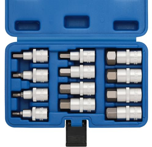 CASOMAN 12PCS 1/2 Dr. Hex Bit Socket Set, Metric, H5,6,7,8,10,12,14,16,17,18,19,22mm